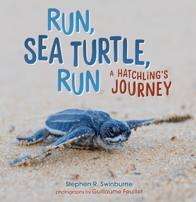 Run, Sea Turtle, Run - Stephen R. Swinburne