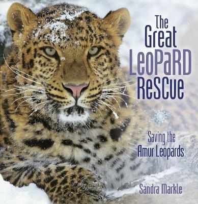 The Great Leopard Rescue - Sandra Markle