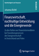 Finanzwirtschaft, nachhaltige Entwicklung und die Energiewende - Johanna Dichtl