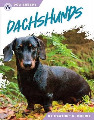 Dachshunds - Heather C. Morris