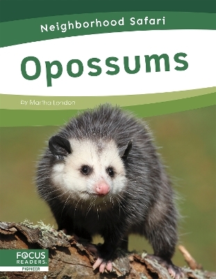 Opossums - Martha London