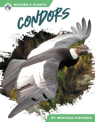 Condors - Marissa Kirkman