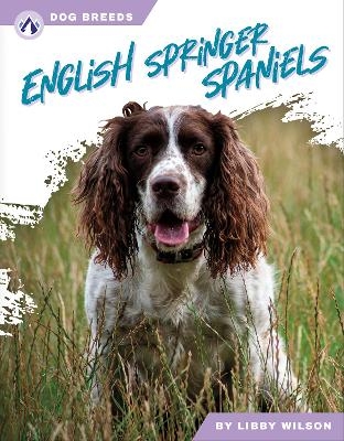 English Springer Spaniels - Libby Wilson