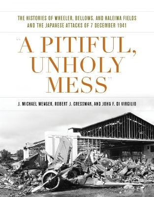 A Pitiful, Unholy Mess - J. Michael Wenger, Robert J Cressman, John F Di Virgilio