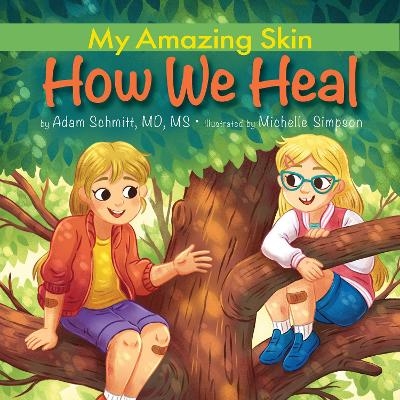 How We Heal - Adam Schmitt