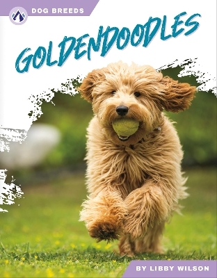 Goldendoodles - Libby Wilson