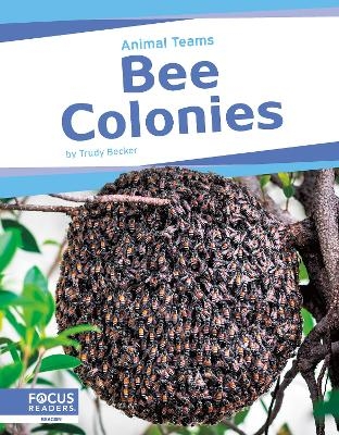 Bee Colonies - Trudy Becker