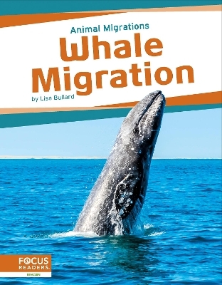 Whale Migration - Lisa Bullard