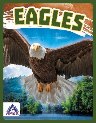 Eagles - Golriz Golkar