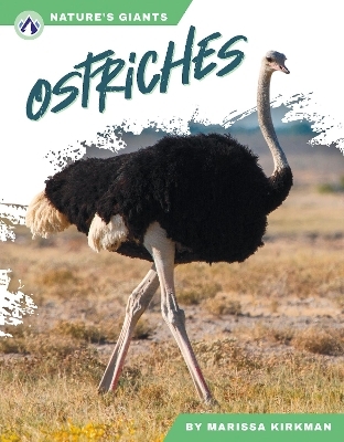 Ostriches - Marissa Kirkman