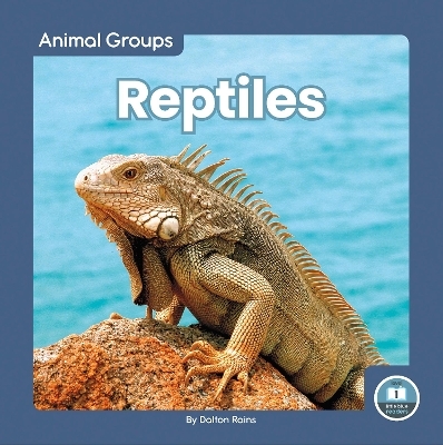 Reptiles - Dalton Rains