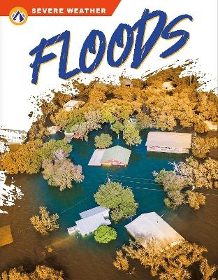 Floods - Sharon Dalgleish