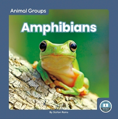 Amphibians - Dalton Rains