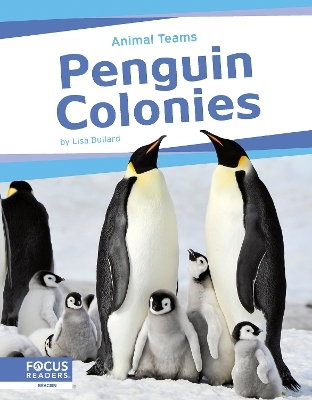 Penguin Colonies - Lisa Bullard