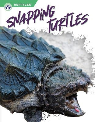 Snapping Turtles - Shannon Jade