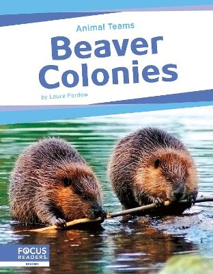 Beaver Colonies - Laura Perdew