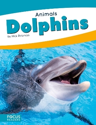 Dolphins - Nick Rebman