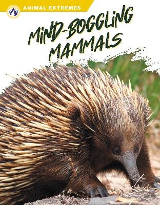 Mind-Boggling Mammals - Libby Wilson