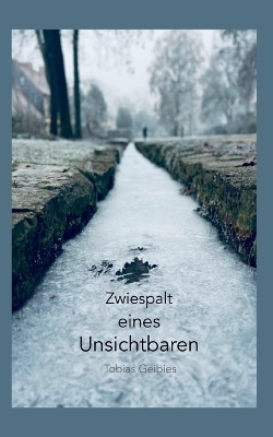 Zwiespalt eines Unsichtbaren - Tobias Geibies