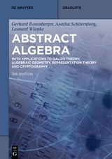 Abstract Algebra - Rosenberger, Gerhard; Schürenberg, Annika; Wienke, Leonard