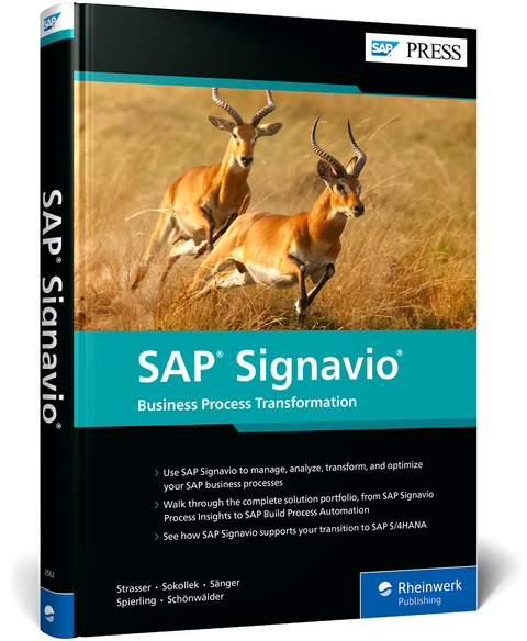 SAP Signavio - Johannes Strasser, Michael Sokollek, Manuel Sänger