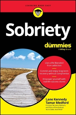 Sobriety For Dummies - Lane Kennedy, Tamar Medford