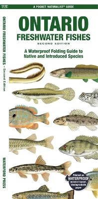 Ontario Freshwater Fishes - Matthew Morris