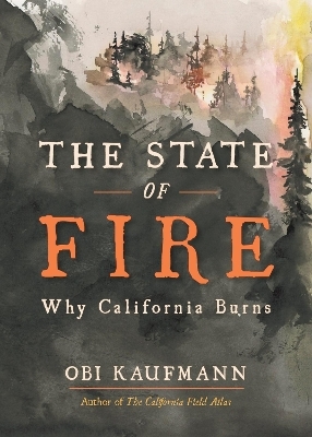 The State of Fire - Obi Kaufmann