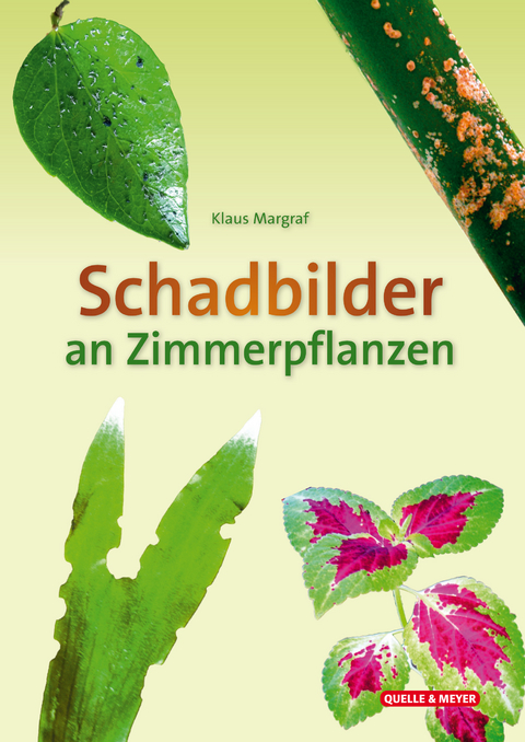 Schadbilder an Zimmerpflanzen - Klaus Margraf