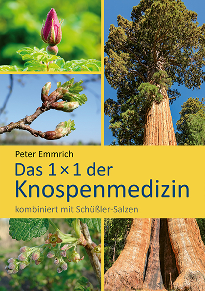 Das 1×1 der Knospenmedizin - Peter Emmrich