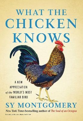 What the Chicken Knows - Sy Montgomery