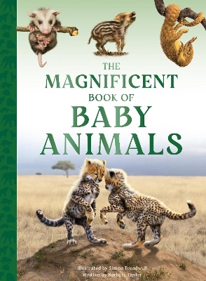 The Magnificent Book of Baby Animals - Barbara Taylor