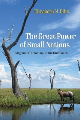 The Great Power of Small Nations - Elizabeth N. Ellis