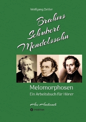 Brahms, Schubert, Mendelssohn: Melomorphosen - Früchte der Musikmeditation, sichtbar gemachte Informationsmatrix ausgewählter Musikstücke, Gestaltwerkzeuge für Musikhörer; ohne Verwendung von Noten - Wolfgang Zeitler