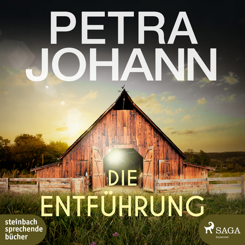 Die Entführung - Petra Johann