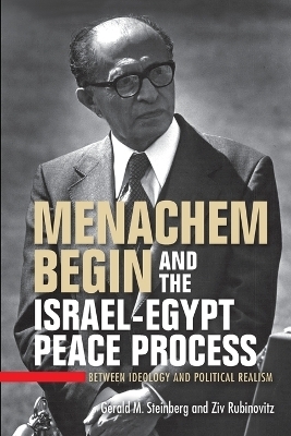 Menachem Begin and the Israel-Egypt Peace Process - Gerald M. Steinberg, Ziv Rubinovitz