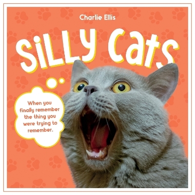 Silly Cats - Summersdale Publishers