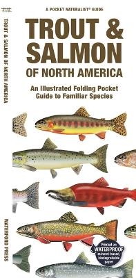 Trout & Salmon of North America -  Waterford Press