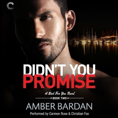 Didn't You Promise - Amber Bardan