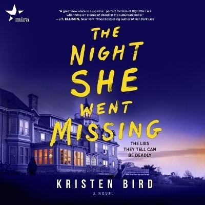 The Night She Went Missing - Kristen Bird