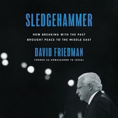 Sledgehammer - Dr David Friedman