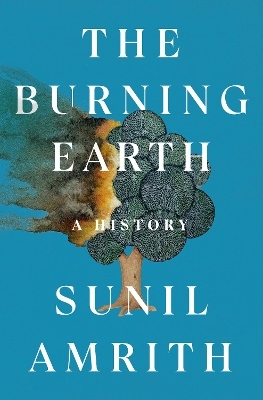 The Burning Earth - Sunil Amrith