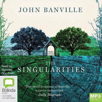 The Singularities - John Banville