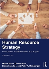 Human Resource Strategy - Biron, Michal; Boon, Corine; Farndale, Elaine; Bamberger, Peter A.