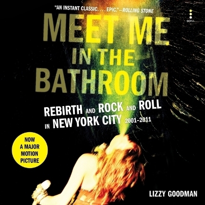 Meet Me in the Bathroom - Lizzy Goodman