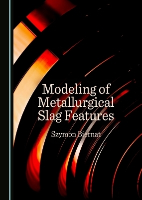 Modeling of Metallurgical Slag Features - Szymon Biernat