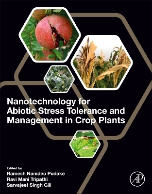 Nanotechnology for Abiotic Stress Tolerance and Management in Crop Plants - 