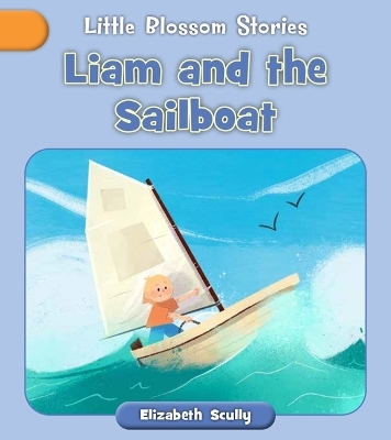 Liam and the Sailboat - Elizabeth Scully