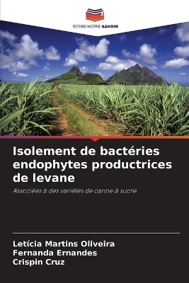 Isolement de bactéries endophytes productrices de levane - Letícia Martins Oliveira, Fernanda Ernandes, Crispin Cruz