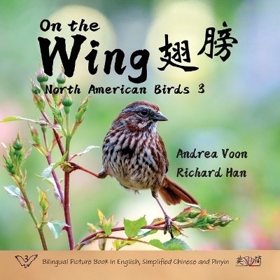 On the Wing 翅膀 - North American Birds 3 - Andrea Voon